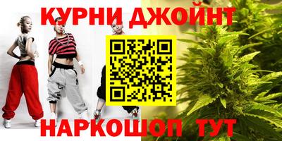 мдпв Новозыбков