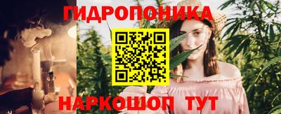 мдпв Новозыбков